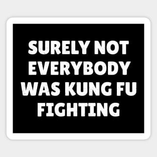 Surely Not Everybody Was Kung Fu Fighting Magnet